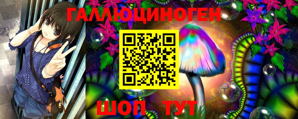 Псилоцибиновые грибы Psilocybine cubensis  Вход с VPN  Старый Оскол 